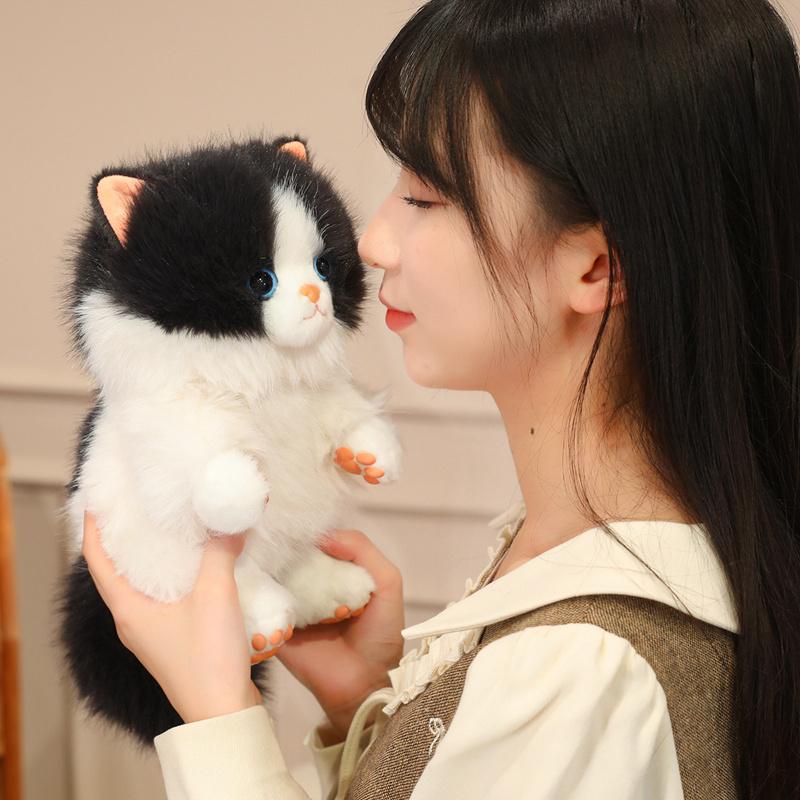 15cm Quietschende Katze Plüschtier Gefüllte Sitzende Stoffpuppe Siamkatze Zeichentricktier Anhänger Taschendekoration Geschenk