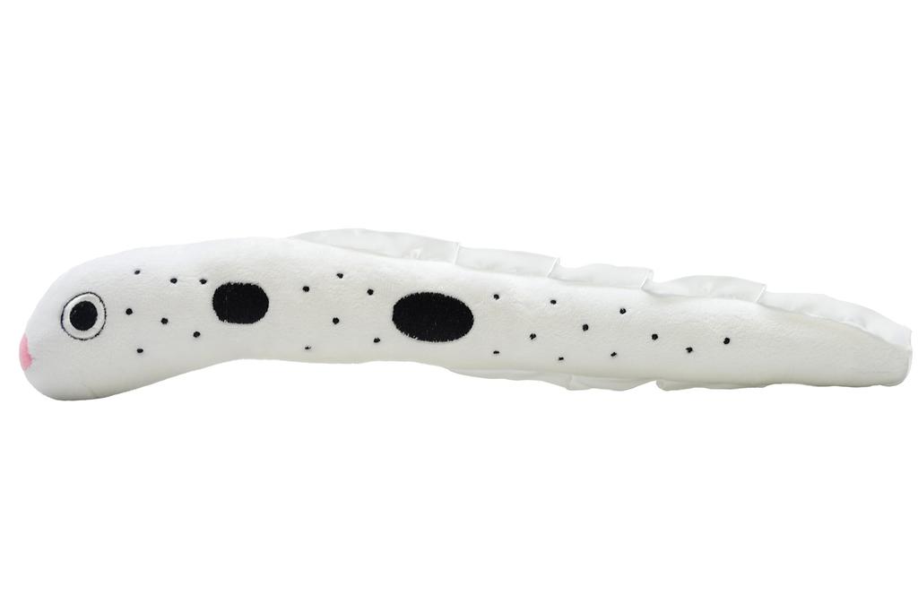 AQUA Plush Toy Marine Nigitaro Conger Eel 14 00085700
