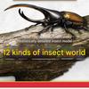6 Rhinoceros Beetle + 6 Stag Beetle Set Insect Figure Model Toys