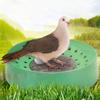 5Pcs Plastic Bird Nesting Bowl Bird Egg Breeding Bowl with Mat Cage Accessory