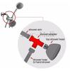 Arm Mounted Shower  Holder Bathroom Shower Valve 3 Way Tee Connector Shower Adapter  Shower  Diverter Valve Tools