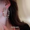 Silver Needle Butterfly Splicing Round Diamond Earrings Korean Exaggerated Design Earrings Sweet Personality Temperament Earrings Women