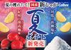 Calbee Summer Potatoes Tsushima Hamago Salt Flavor 61g x 12 bags