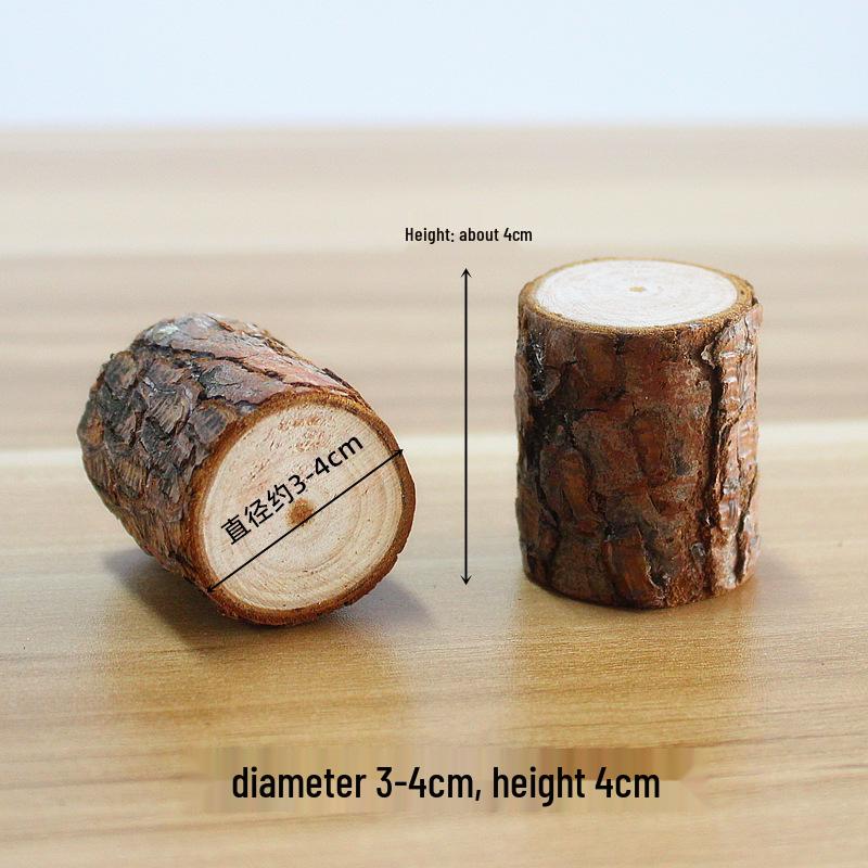 Natural Dried Fruit Wood Slices & Pine Acorn Christmas Decor Materials for Photography Backgrounds