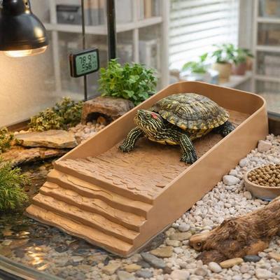 Reptiler – Terrarium