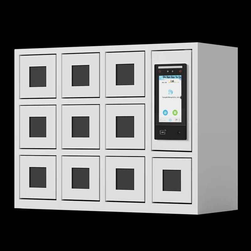 10-Door Smart Face Recognition Phone Charging Locker