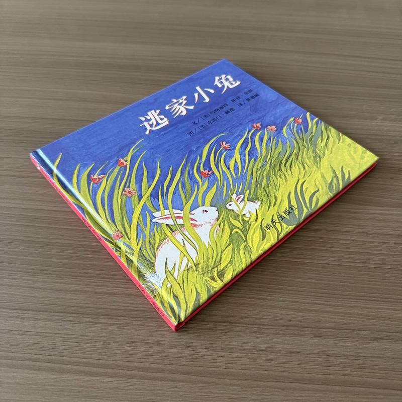 Runaway Little Rabbit: Picture Book for Children Aged 1-4 Hardcover