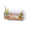Transparent Wall-Mounted Plant & Fish Tank for Office/Living Room Décor