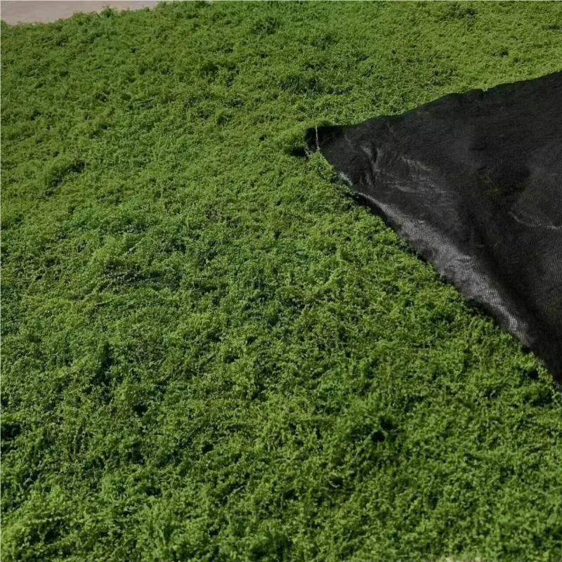 Top Quality 1*1m Fake Moss DIY Crafts Grass Artificial Moss Faux Preserved Moss Green Plants Home Room Garden Decor Landscape