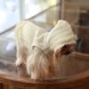 Luxus Hunde Kleidung Herbst Winter Hunde Kleidung Haustier Kleine Hunde Sachen Kostüm Zubehör Welpe Kätzchen Katzen Haustiere Hoodie Zubehör