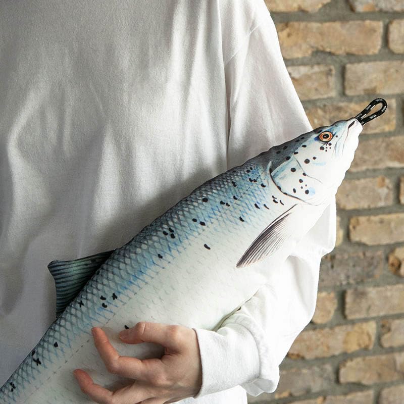 Dulton Fishes Salmon 65 Fish Cushion for Everyday Life Large Body Pillow Marine Life Nordic Salar FISHES Total Length 65cm Lax/Salmon/Salmo Y-0512