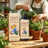 Plant Liquid Fertilizer Nourish Soil Microorganisms Enhance Nutrient Absorption Capacity Promote Plant Growth Plant Maintenance