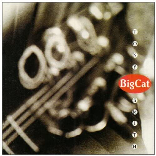 CD TONY SMITH - Big Cat  UK Music Others Used