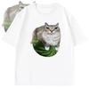 Watermelon Cat Silly Cat Meme T-Shirt A Hilarious Watermelon Summer Print Short Shirt Is A Stylish Unisex Top for Men and Women