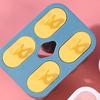 4 Cavity Ice Cream Mold PP Ice Lolly Mold Durable Popsicle Mold  Home Kitchen