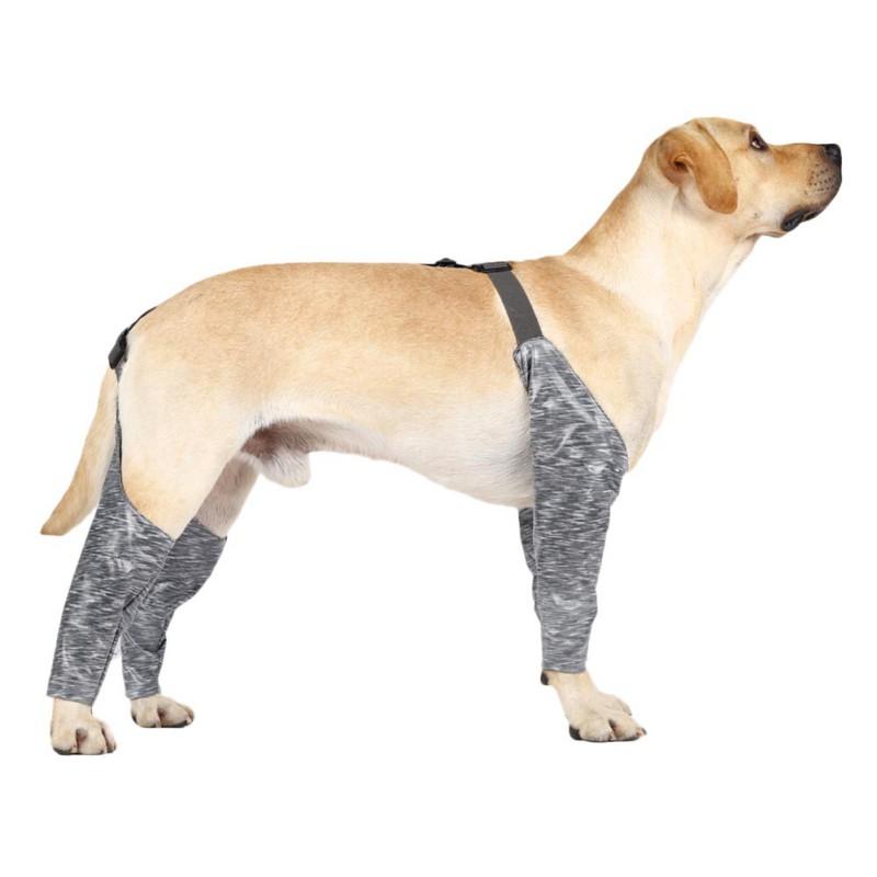 waterproof dog pants