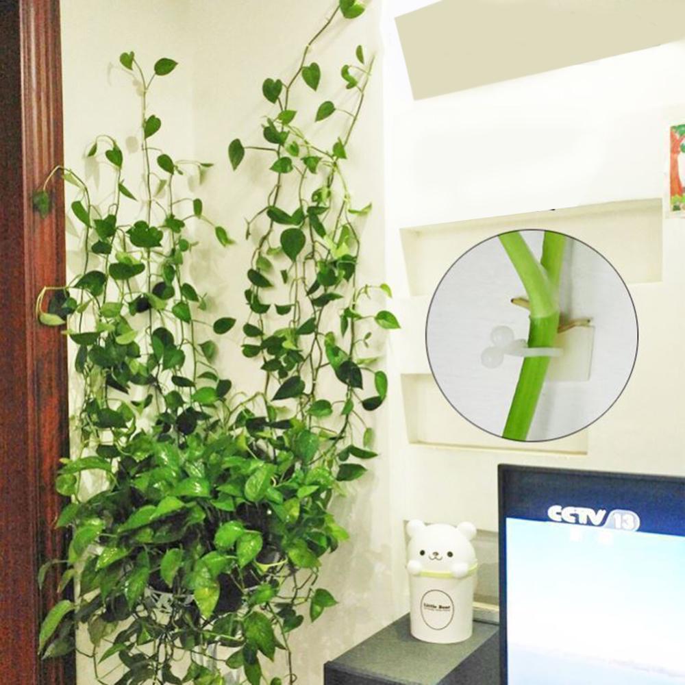 

Lulu скалолазание стена фиксер самоклеящийся крючок винограда растение стена вьющаяся фиксированная внутренняя стойка для ногтей