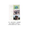 Marks Family Album Binder Type Ivory MOM-AL10-IV