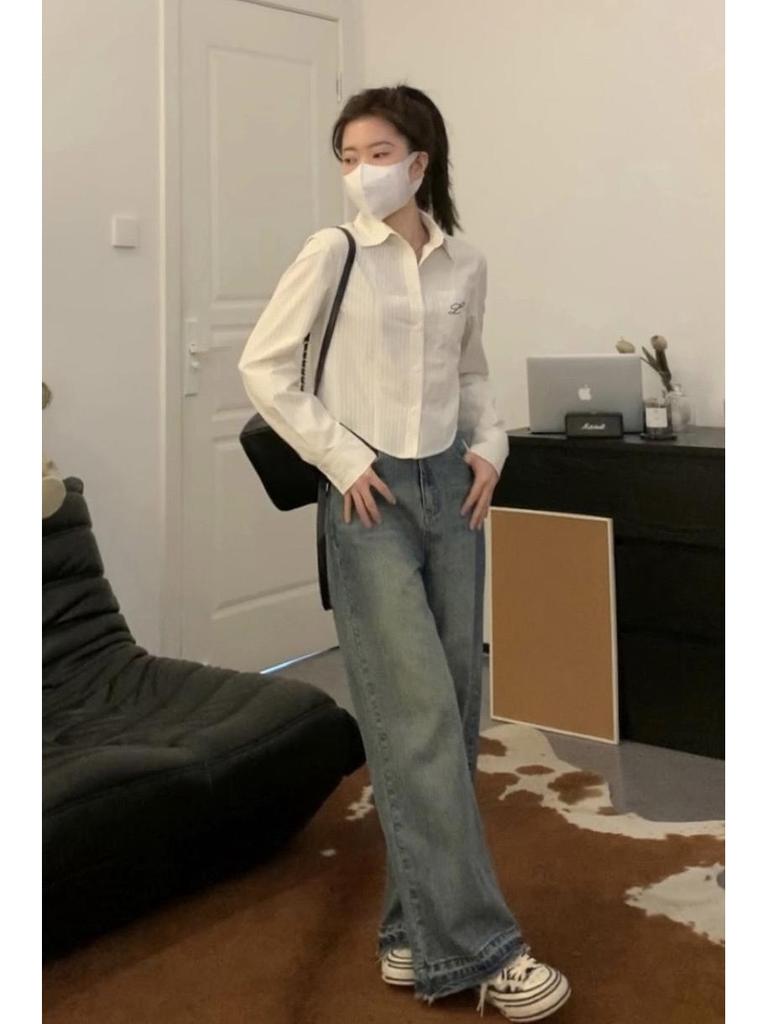 Korean Embroidered Striped Blue Shirt for Women - Spring/Autumn 2026 New Design