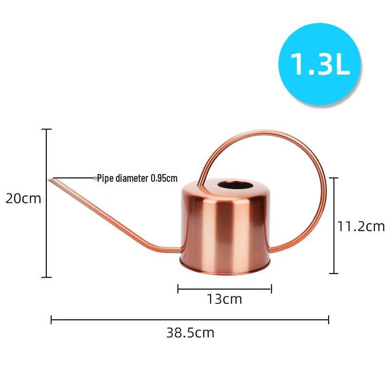 Stainless Steel Watering Can Set