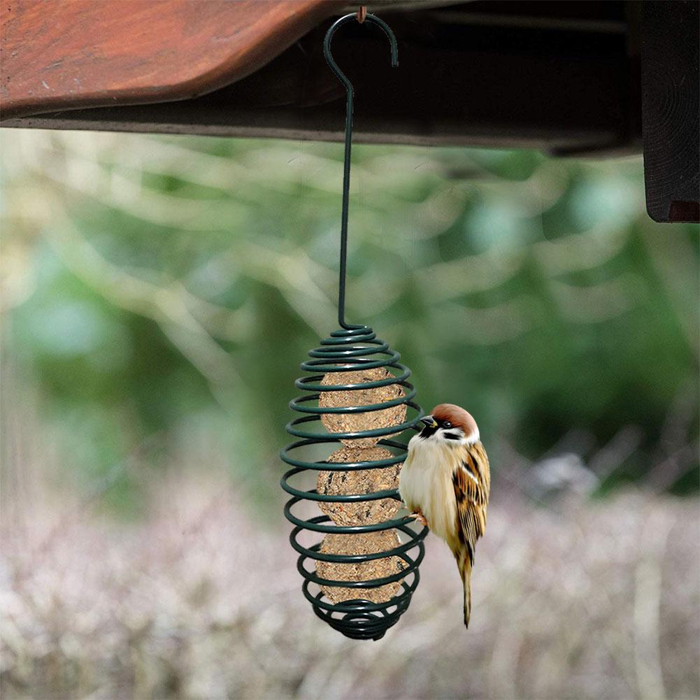 auto bird feeder