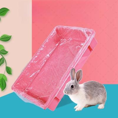 Voor dieren – Knaagdieren