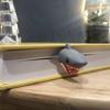 Creative 3D Great White Shark Bookmark- Durable Plastic, Black with Red Teeth Detail, Student Stationery Gift for School Opening