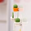 Creative Cactus 3D Refrigerator Message Magnet