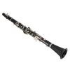 Clarinet Set 17 Key Wood Bb with Cleaning Cloth Reed Screwdriver Box Musical InstrumentBlack