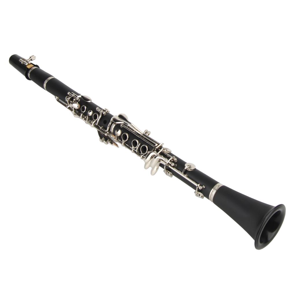 Clarinet Set 17 Key Wood Bb with Cleaning Cloth Reed Screwdriver Box Musical InstrumentBlack