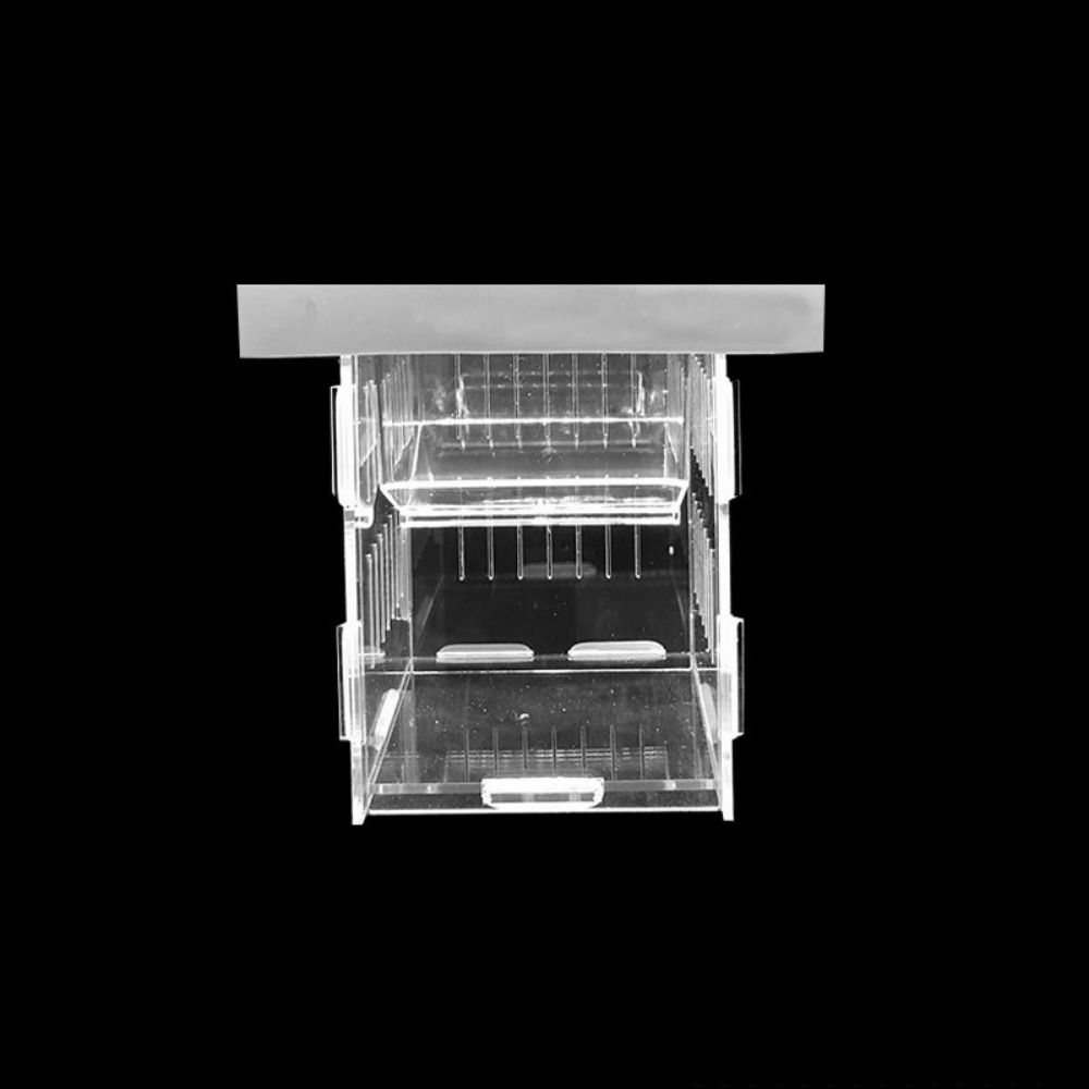 Acrylic Fish Isolation Box Detachable Fish Breeding Tank Floating Hatching Box  for Aquarium