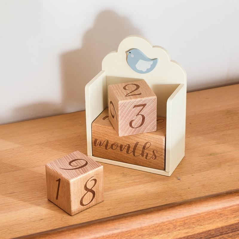 Baby Wood Milestone Photography Accessory Toy Cartoon Bird Time Recorder Box Baby Room Decoration Baby Anniversary Baby Gifts