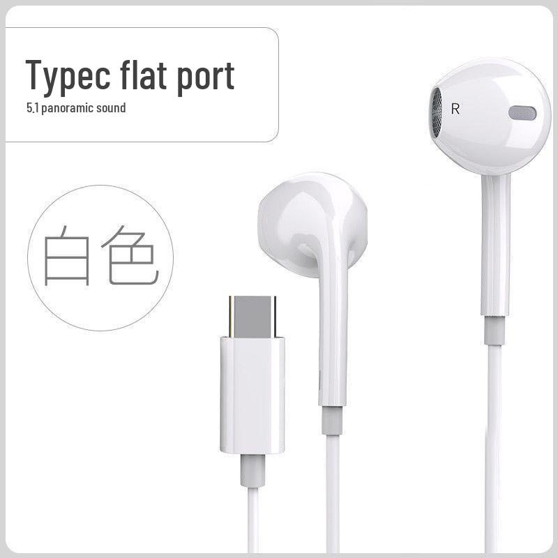 Wired In-Ear Computer Headphones with Microphone and 2-3 Meter Extension Cable, Dual Plug for Live Monitoring.