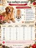 Dog socks with anti-slip latex sole waterproof, breathable, adjustable fixation, sizes XXXL