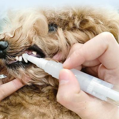 Yousheng 5 ml Pen periuță de dinți pentru animale de companie Stilo pentru curățarea dinților de câine Instrument pentru îndepărtarea tartrului Kit de reparare pentru albirea dinților de companie pentru pisici și câini