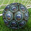 Ocean Life Symbols Round Football Size 5 Adult Ball Suitable for Training Matches and Outdoor Team.