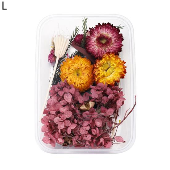 Artă populară Floare uscată Moale Vii Estetică