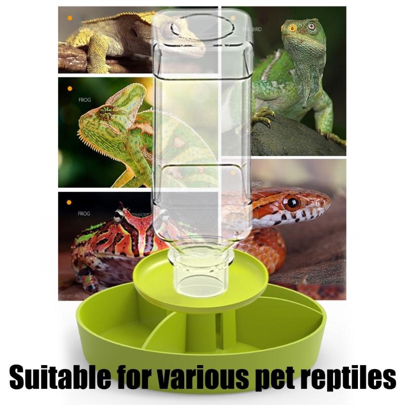 Multi Tiered Automatic Reptiles Water Dispenser Multifunctional Design Transparent Tanks Quiet Pump for Small Turtles