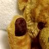 [USED] Pedigree Teddy Bear Vintage Teddy Bear with Bell