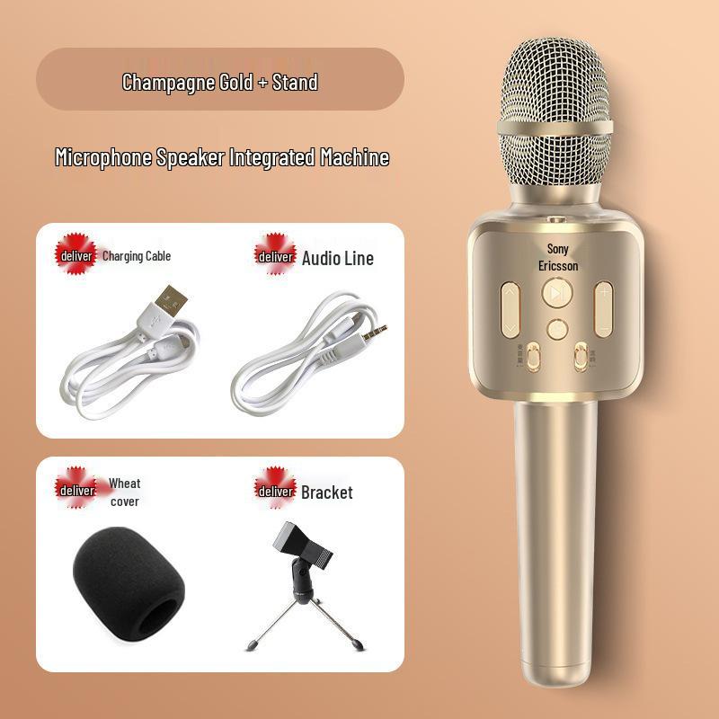 Wireless Bluetooth Microphone & Speaker for Mobile - Sing K Songs At Home for Kids & Adults