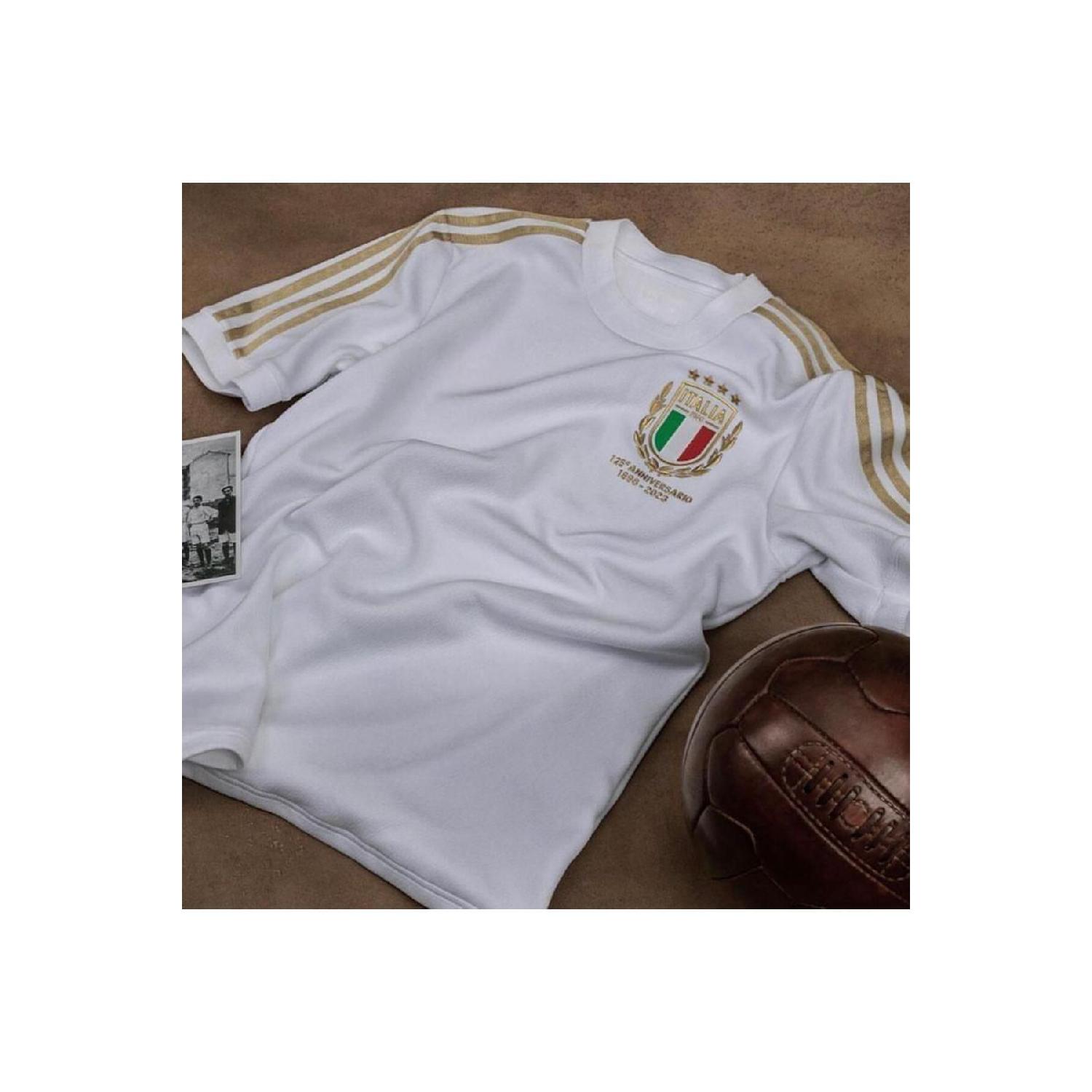 

Italy 125th Anniversary Special Design White Jersey Special Jersey White 125 S чистый