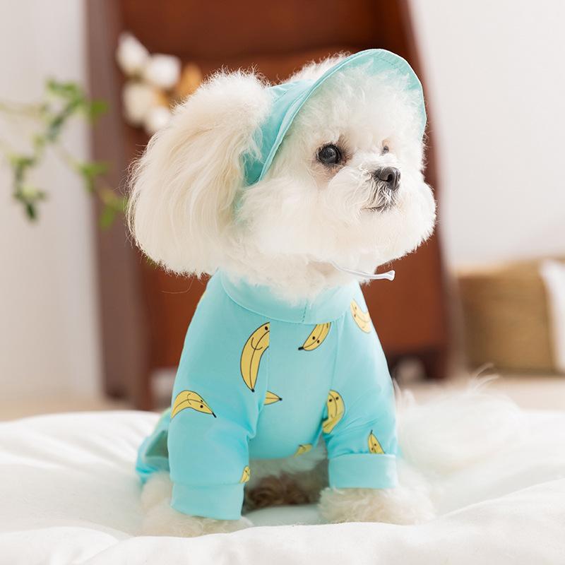 Pet Full Print Spring Summer Teddy Bear Small Dog with Hat Out Four Feet Sun Protection Cool Clothes Dog Clothes