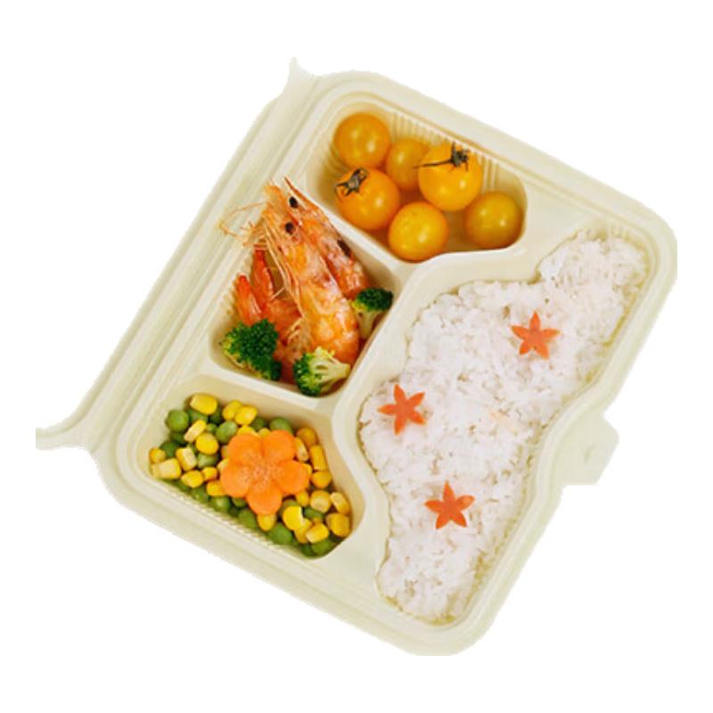 YOUAO Disposable Partitioned Lunch Boxes