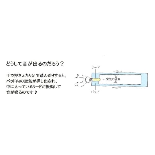 SUZUKI MP-8 Music Pad: Enjoy music with your body! 1 octave, 8 notes set
