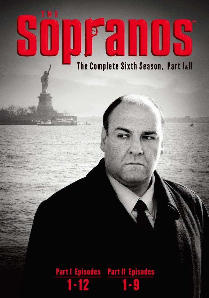 The Sopranos DVD Set <Six> (8 Discs)