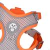 Pet Harness and Leash Combo for Enjoyable Outdoor Adventures