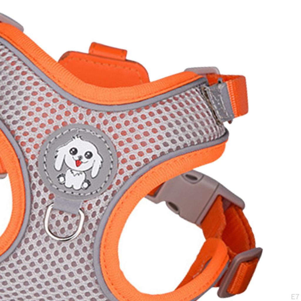 Pet Harness and Leash Combo for Enjoyable Outdoor Adventures