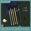 Jinchuan Tin Whistle Aluminum with Teaching Materials and Storage Gold Silver D D-tube C-tube Bag/Case (Black, Key)