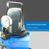 Kalei DBD750-S1 Electric Hydraulic Pump CN plug (adapter included)