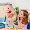 Plush Toys, Cute And Perfect Birthday Gifts For Friends And Classmates, Graduation Gifts